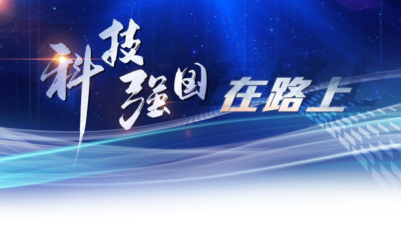 企业内部信息化项目管理流程：关键环节与优化策略